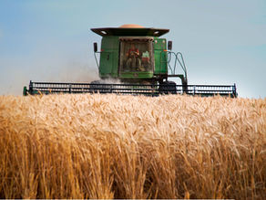 PARKES CHAMPION POST | Grain growers apprehensive of production costs in 2022
