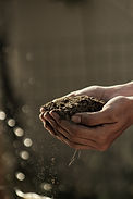 Image by Gabriel Jimenez