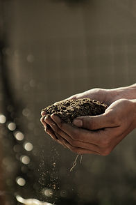 Image de Gabriel Jimenez