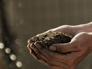 FREE Lesson Plan: Chemical Reactions at Play - Understanding Composting's Chemical Processes