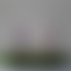 Advent wreath with the pink joy candle lit, symbolizing rejoicing in Christ even in hard seasons.