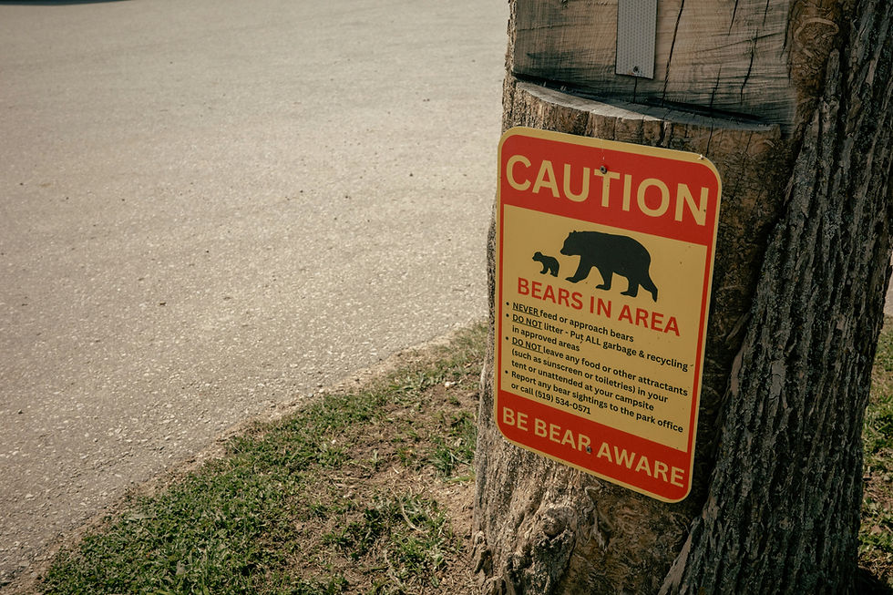 Caution sign warns of bears, attached to a tree. Bold red and yellow colors. Text reads "BEARS IN AREA, BE BEAR AWARE." Grass and road nearby.