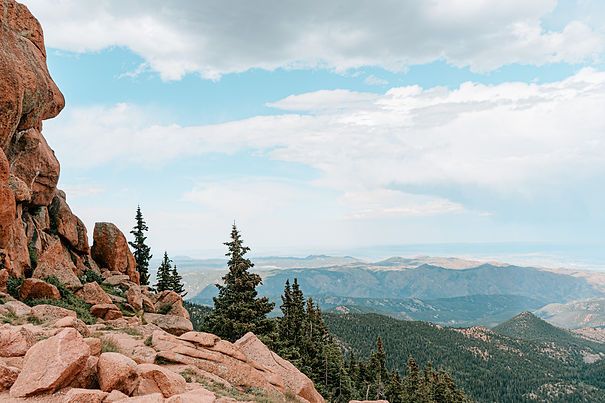 Image by Connor Betts