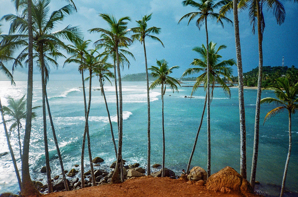 Image by Andrei Alekseev