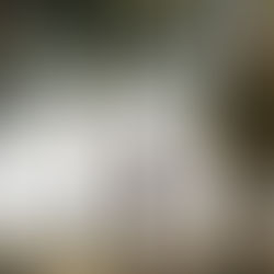 A Rejuvenating Day in Miami: Activities for Relaxation and Renewal