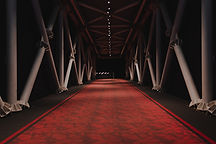 Image by Amir Hosseini