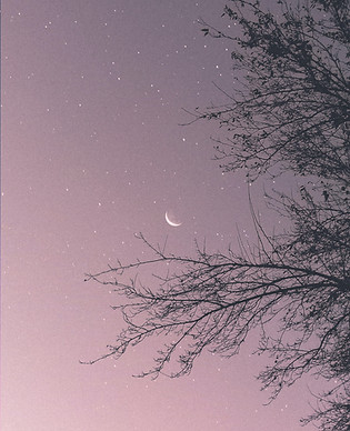Image by LucasVphotos