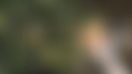 “The tree beside running water is fresher and gives more fruit”