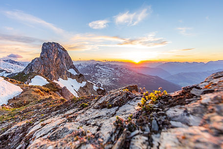 Image by Damian Markutt