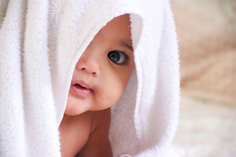 Image by Nihal Karkala