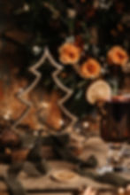 Image by Anita Austvika