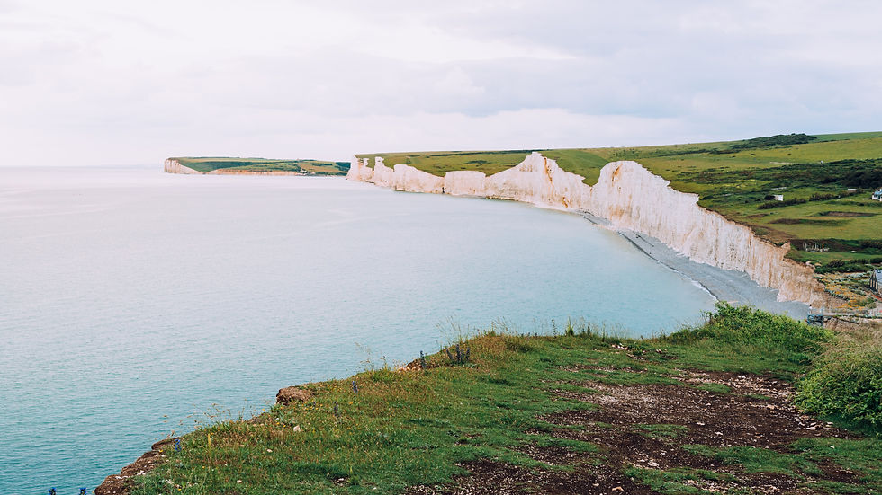 Wildlife Along the Seven Sisters Coast: What You Might See