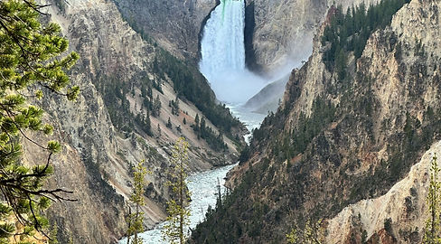 Image de Brittany Herring