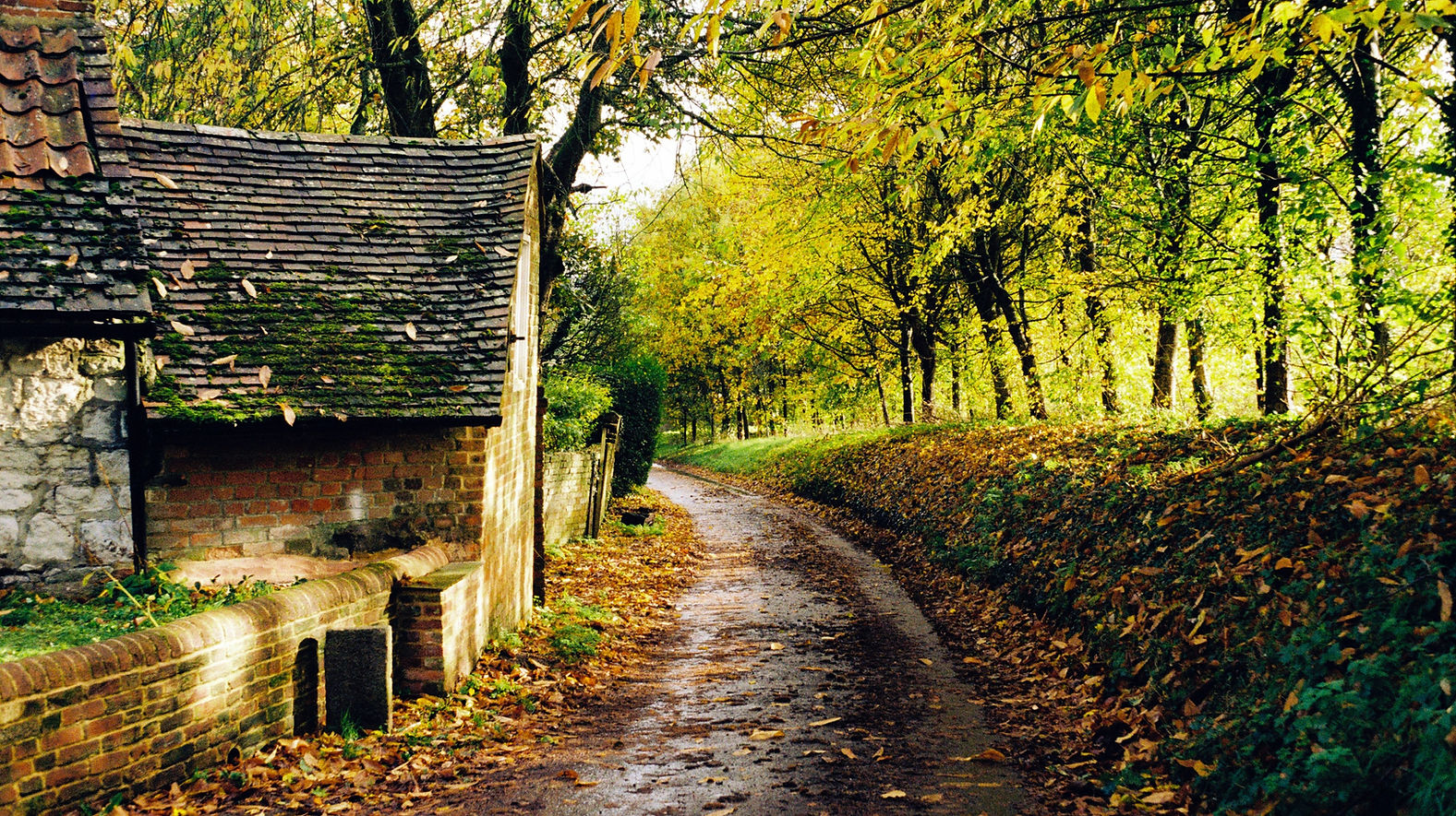 Photo d'angleterre