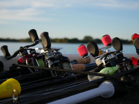 Millwood Lake Fishing Rods