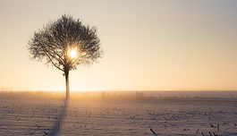 Prayer for Serenity: Weekly Devotionals for Women