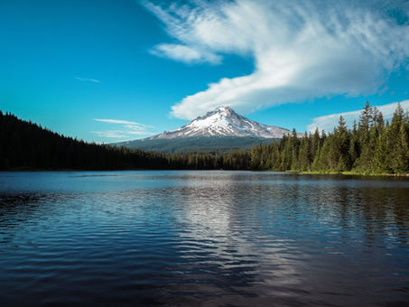 Your Guide to Student Loan Forgiveness in Oregon