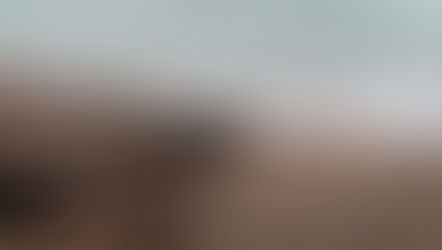 The unheard cries of the Archipelago: Denizens of the Little Andaman under threat.