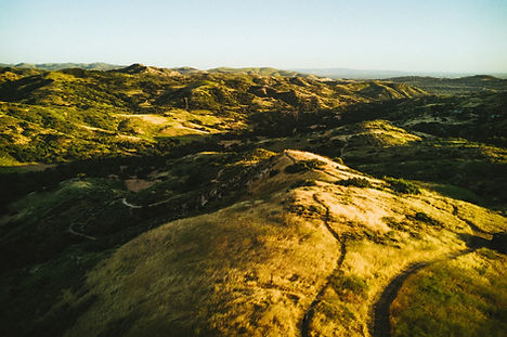 Aerial View of Orchard