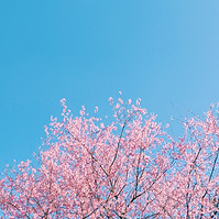 Image by note thanun