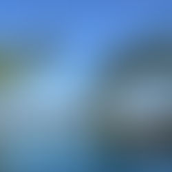 הכירו את פיג'י