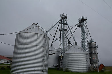 Image by Roger Starnes Sr