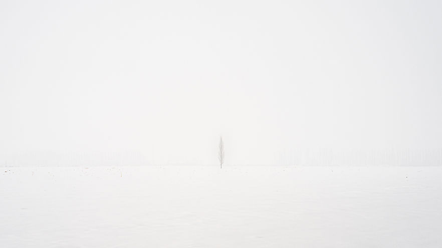 Image by Siyuan