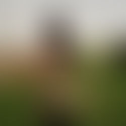 CASE STUDY: TRANSFORMING COMMUNITY SPACES INTO PREMIER SPORTS FACILITIES