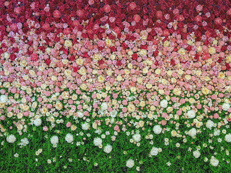 Close-up view of a vibrant bouquet featuring red, pink, and white flowers
