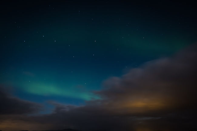 Image by Lance Anderson