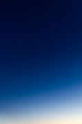 Image by Tiard Schulz