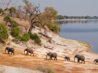 Wie viel kostet eine Safari ab Sansibar?