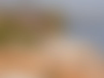 Wie viel kostet eine Safari ab Sansibar?