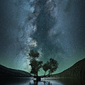 Image by nate rayfield