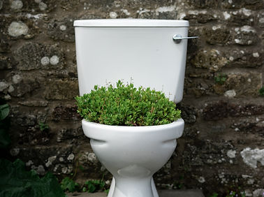 Image by Will Wright