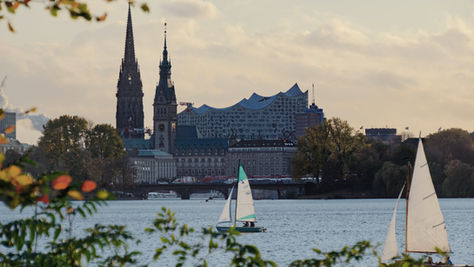Sailboats on a river with a cityscape in the background, including pointed towers and modern architecture. Leaves in foreground, cloudy sky.