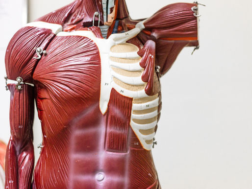 The Impact of Stress on Your Muscles