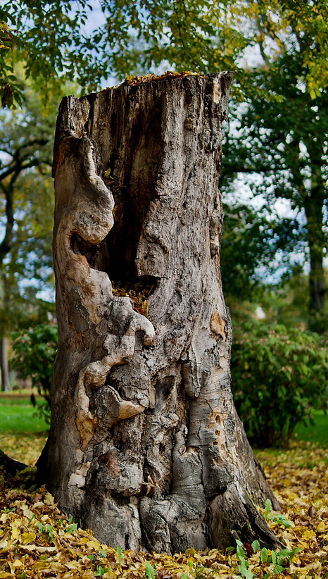 Image by Prometheus 🔥