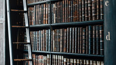 Pro Bono builds a culture of free legal aid in a changing society