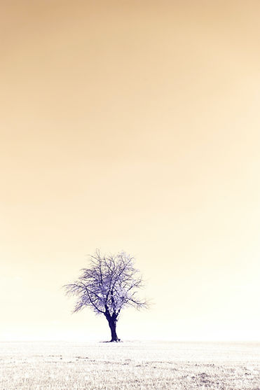 Image by Wolfgang Hasselmann