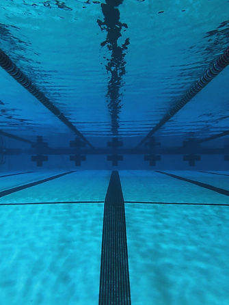 Image by Stephen Ventura