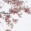 Image by ZHANG FENGSHENG