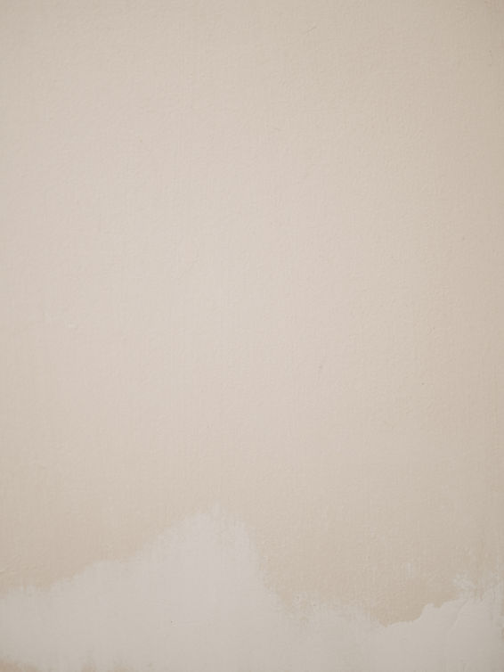 Image by Annie Spratt