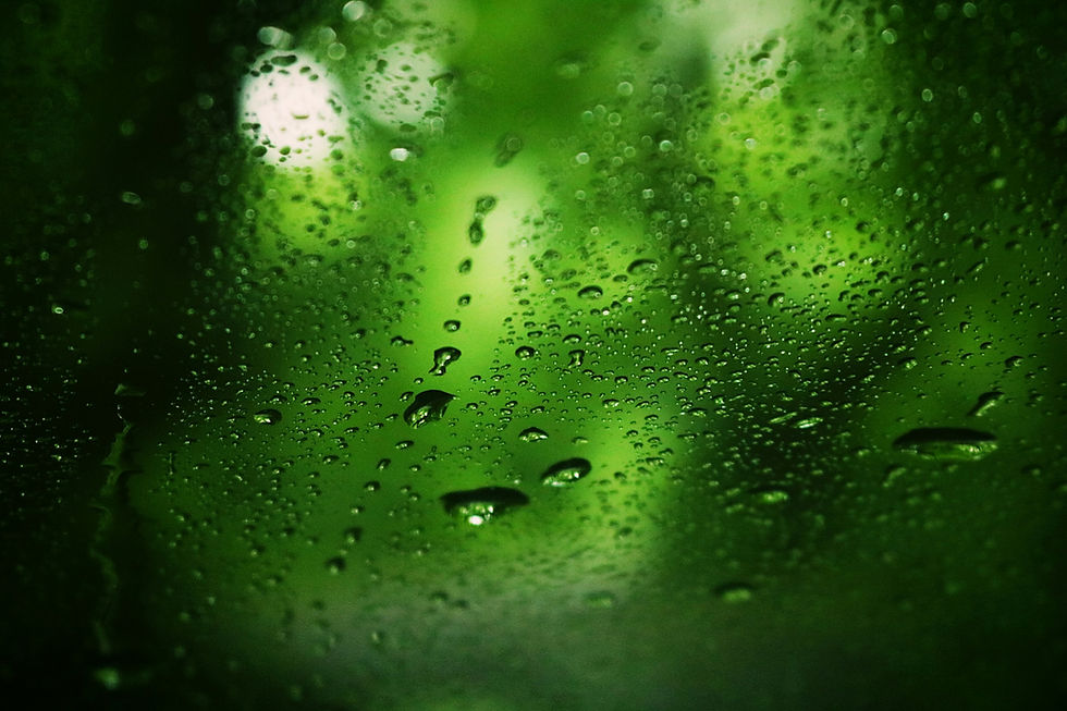 Image by hesan ajdadi