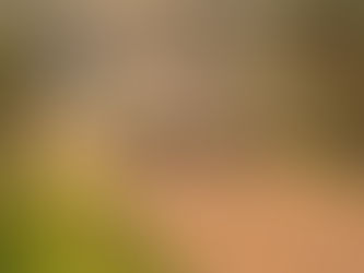 cattle farmer in Africa