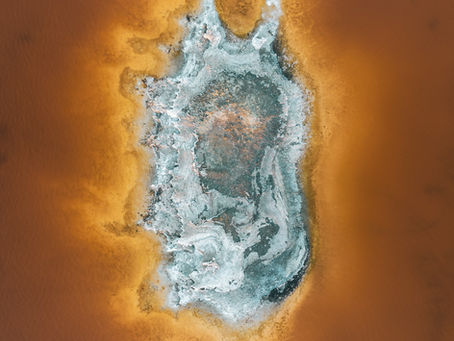 From Mitochondria to Mycelium: Rethinking Systems, Consciousness, and the Future of Humanity