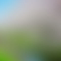 🌸 El viaje que te enseña a entender Japón