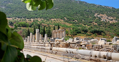 Ephesus beneath the grape vines