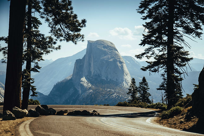 Image by Trent Erwin