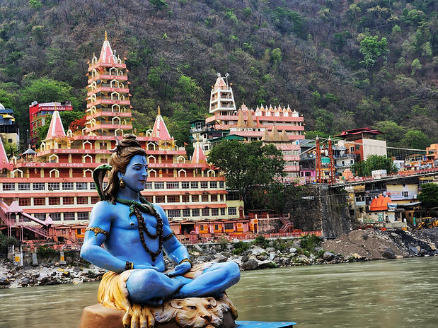 Image by Naitek Bhardwaj